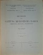 Revision der Gattung Microstigma Rambur (Odonata, Zygoptera)