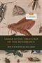 Lesser Living Creatures of the Renaissance: Vol. 2: Concepts