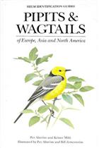 Pipits and Wagtails of Europe, Asia and North America