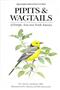 Pipits and Wagtails of Europe, Asia and North America