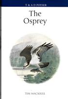The Osprey