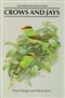 Crows and Jays: A Guide to the Crows, Jays and Magpies of the World