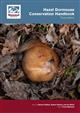 Hazel Dormouse Conservation Handbook: Third edition