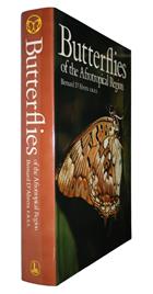 Butterflies of the Afrotropical Region