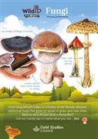 Fungi: (Identification Chart)