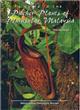 Guide to the Pitcher Plants of Peninsular Malaysia