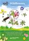 Wildflowers (FSC Discovery Guide 3)
