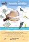 Seaside wildlife (FSC Discovery Guide 6)
