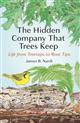 The Hidden Company That Trees Keep: Life from Treetops to Root Tips