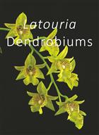 Latouria Dendrobiums