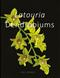 Latouria Dendrobiums
