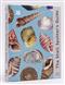 The Shell Spotter's Guide