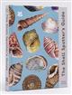 The Shell Spotter's Guide