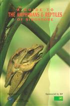 A Guide to the Amphibians & Reptiles of Singapore