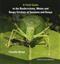 A Field Guide to the Bushcrickets, Wetas and Raspy Crickets of Tanzania and Kenya