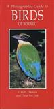 A Photographic Guide to Birds of Borneo