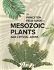 The Princeton Field Guide to Mesozoic Plants