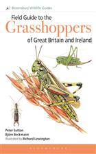 Field Guide to the Grasshoppers of Great Britain and Ireland: Grasshoppers, crickets, earwigs, cockroaches, stick-insects and mantids