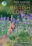 RSPB Everyday Guide to British Wildlife: Identify our common species and learn more about their lives