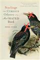 Starlings: The Curious Odyssey of a Most Hated Bird
