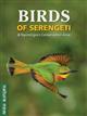 Birds of Serengeti & Ngorongoro Conservation Area