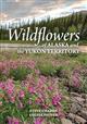 Wildflowers of Alaska and the Yukon Territory