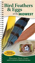 Bird Feathers & Eggs of the Midwest: Identify 40 Species of Common Backyard Birds
