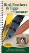 Bird Feathers & Eggs of the Midwest: Identify 40 Species of Common Backyard Birds
