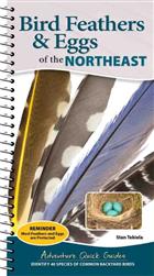 Bird Feathers & Eggs of the Northeast: Identify 40 Species of Common Backyard Birds