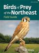 Birds of Prey of the Northeast Field Guide