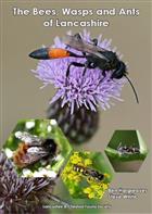 The Bees, Wasps and the Ants of Lancashire