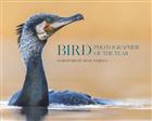 Bird Photographer of the Year: Collection 10