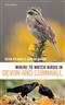 Where to Watch Birds in Devon and Cornwall