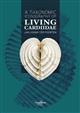 The Taxonomic Iconography of Living Cardiidae