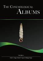 The Conchological Albums - Terrestrial Molluscs Vol. 15: Clausiliidae (3)