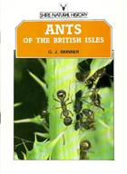 Ants of the British Isles (Shire Natural History 21)