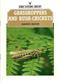 Grasshoppers and Bush-Crickets (Shire Natural History 25)