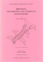 Breeding the British and European Hawk-Moths