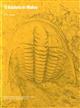 Trilobites in Wales