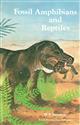 Fossil Amphibians and Reptiles