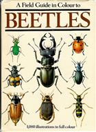 A Field Guide in Colour to Beetles