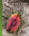 The Lives of Beetles: A Natural History of Coleoptera