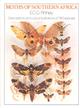 Moths of Southern Africa