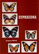 Euphaedra