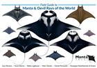 Field Guide to Manta & Devil Rays of the World