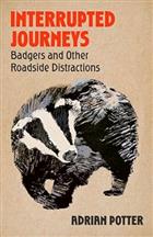 Interrupted Journeys: Badgers and Other Roadside Distractions
