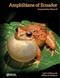 Amphibians of Ecuador. Vol. III: Craugastoridae
