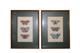 Set of ten finely hand-coloured butterfly prints, reproduced in Fiorella Falteri’s Stampe d’arte studio