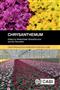 Chrysanthemum