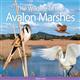 The Wildlife of the Avalon Marshes